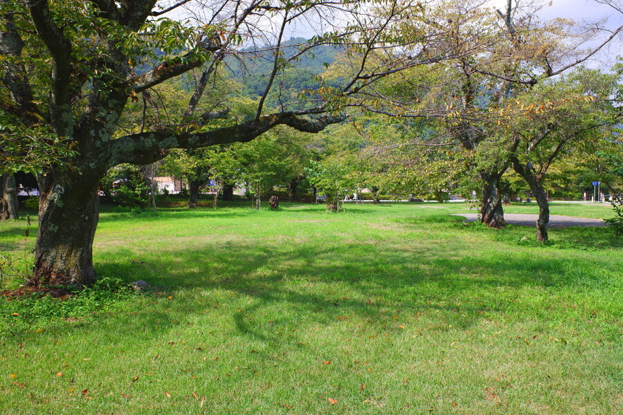 교토 너머, 근교 여행 3부(초스압) - 우지, 교토_69.jpg