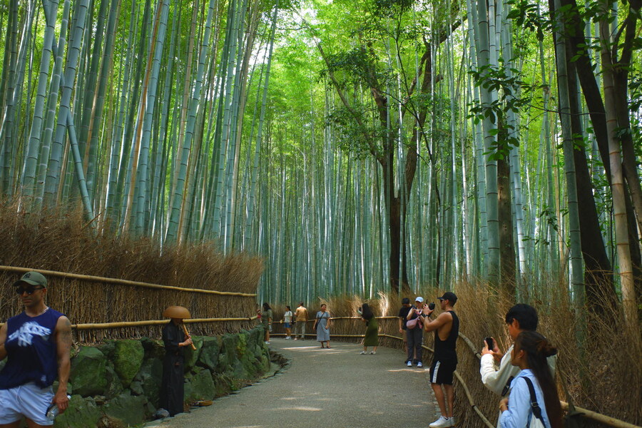 교토 너머, 근교 여행 3부(초스압) - 우지, 교토_79.jpg