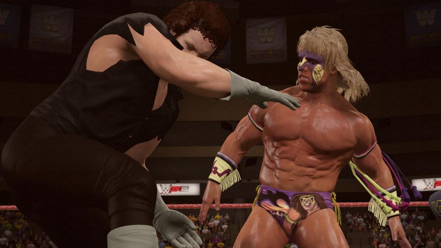 WWE 2K15_20.jpg