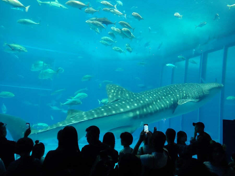 이제 하루 남아부럿어_7.jpg