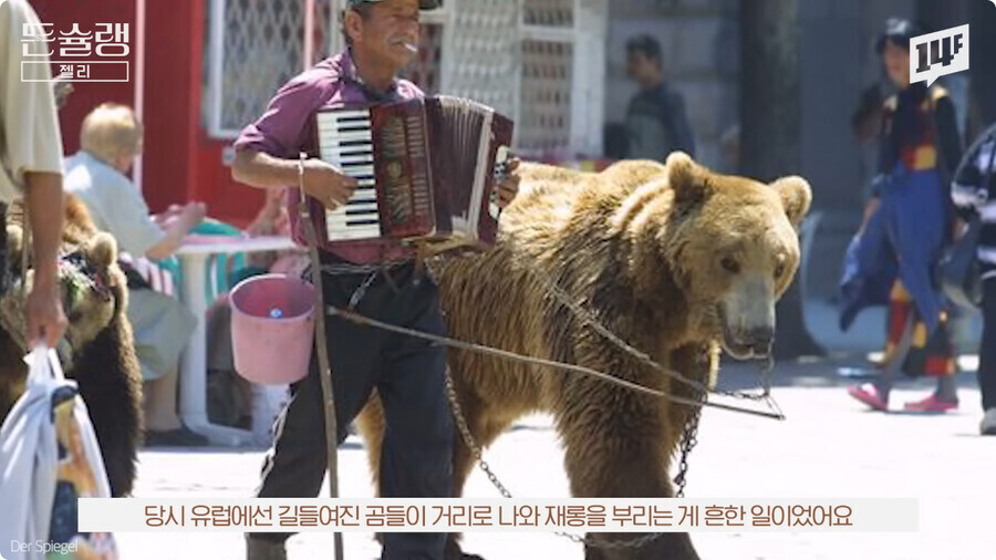 하리보가 젤리를 곰돌이 모양으로 만든 이유.jpg_10.jpg