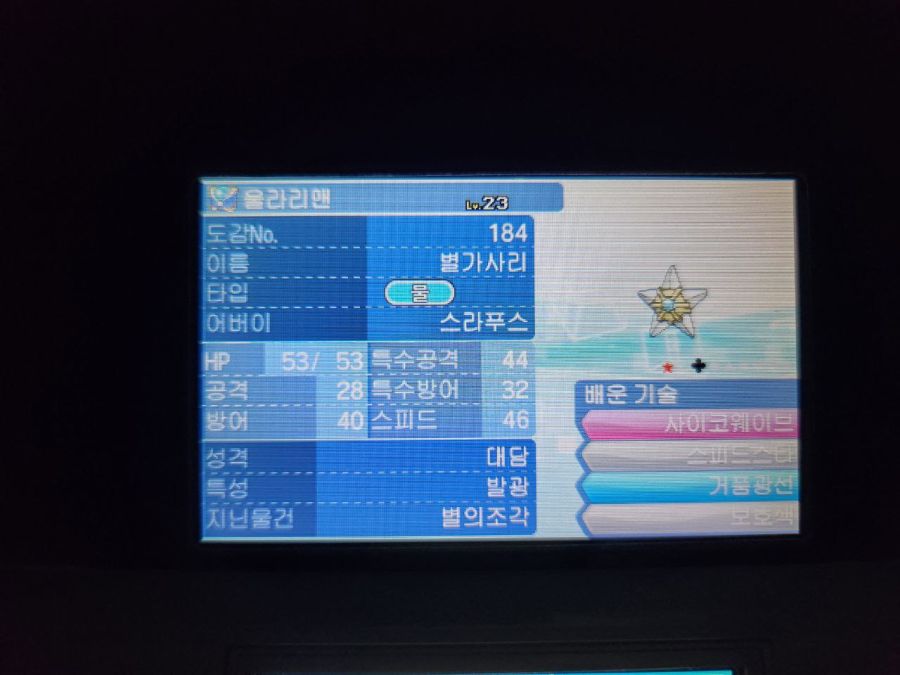 [썬/문] 이로치 별가사리 GET !!!_1.jpg