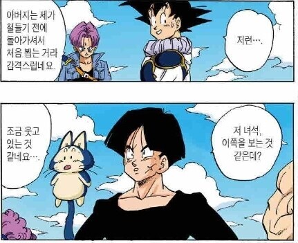 (드래곤볼) 다시는 베지터를 금발 ntr이라고 부르지마라._2.jpg