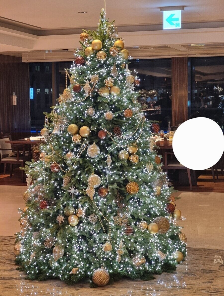 고추 크기 21cm 고딩의 삶.jpg_9.jpg