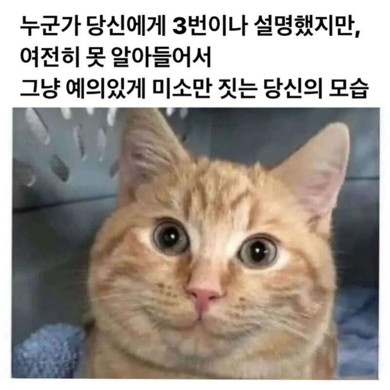 나는 이런 논법이 어렵더라_1.jpg