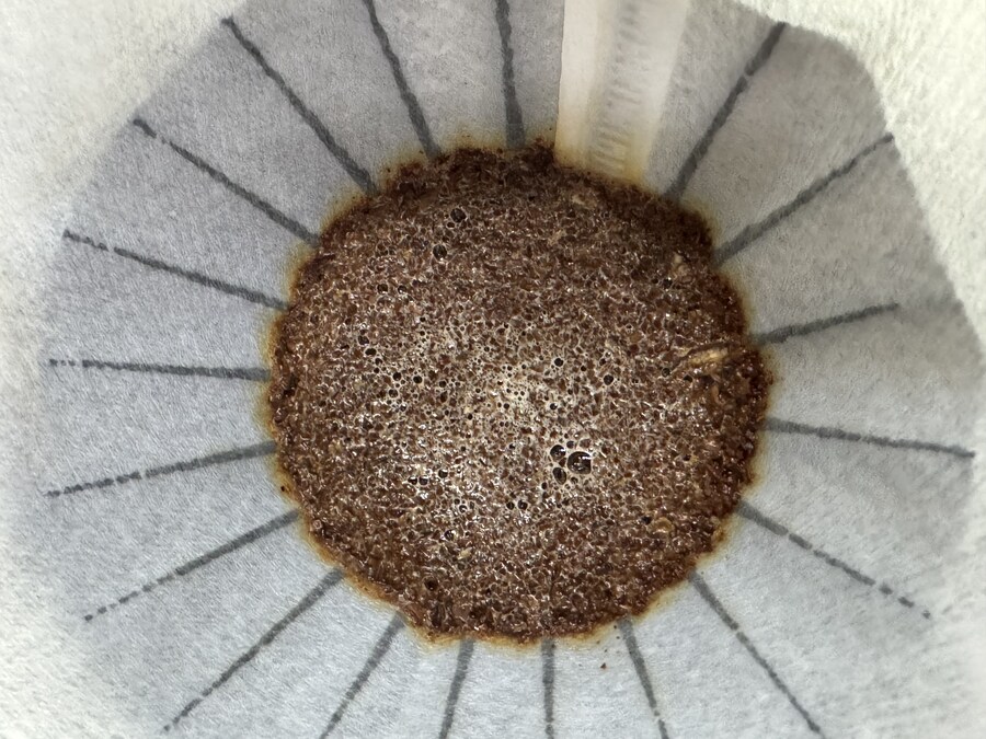 ㄹㄹ커피 – 파나마 에스메랄다 체바스 007 내추럴_5.jpg