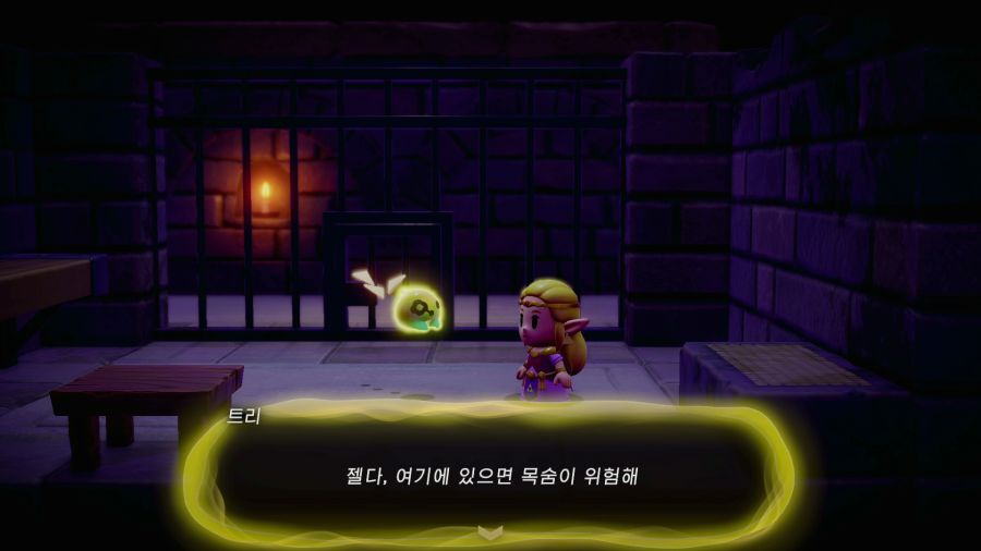 젤다의 전설 지혜의 투영_1.png