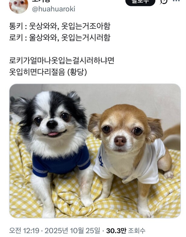 웃상와와 울상와와_1.png