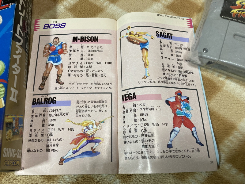 스트리트 파이터 30주년 기념 콜렉션_137.jpg