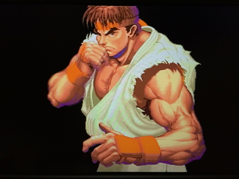 스트리트 파이터 30주년 기념 콜렉션_216.jpg