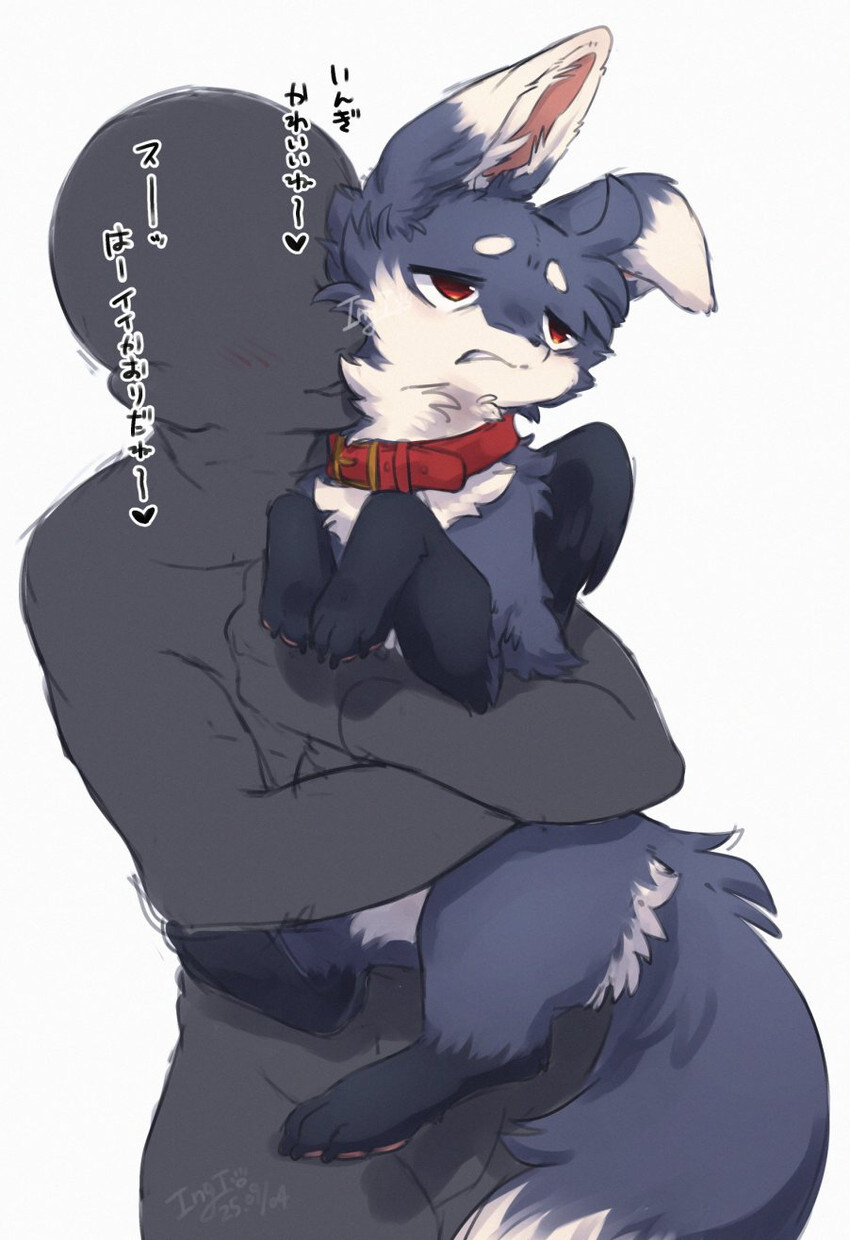 모닝의 퍼리퍼리야_1.jpg