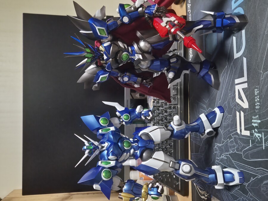 센티넬 바이사가 드디어 수령했습니다._20.jpg