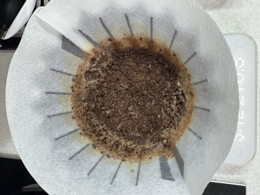 ㄹㄹ커피-bop 2024 GW-04 엘리다 부엘타 게이샤 워시드_6.jpg