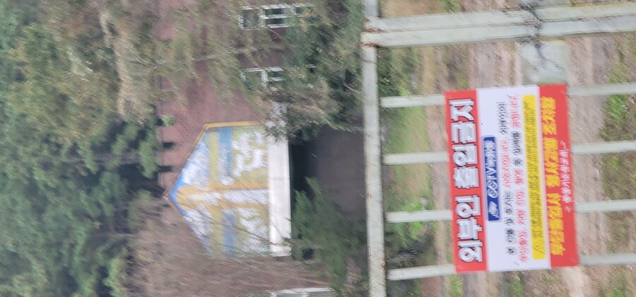 진안메타세콰이어 길_3.jpg