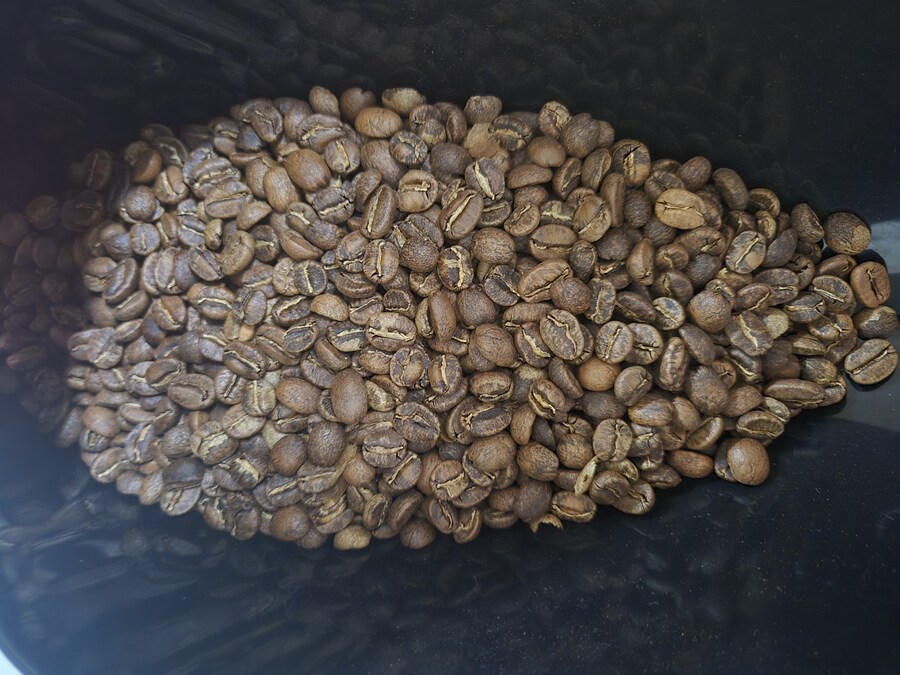 이번주에 한 로스팅_1.jpg