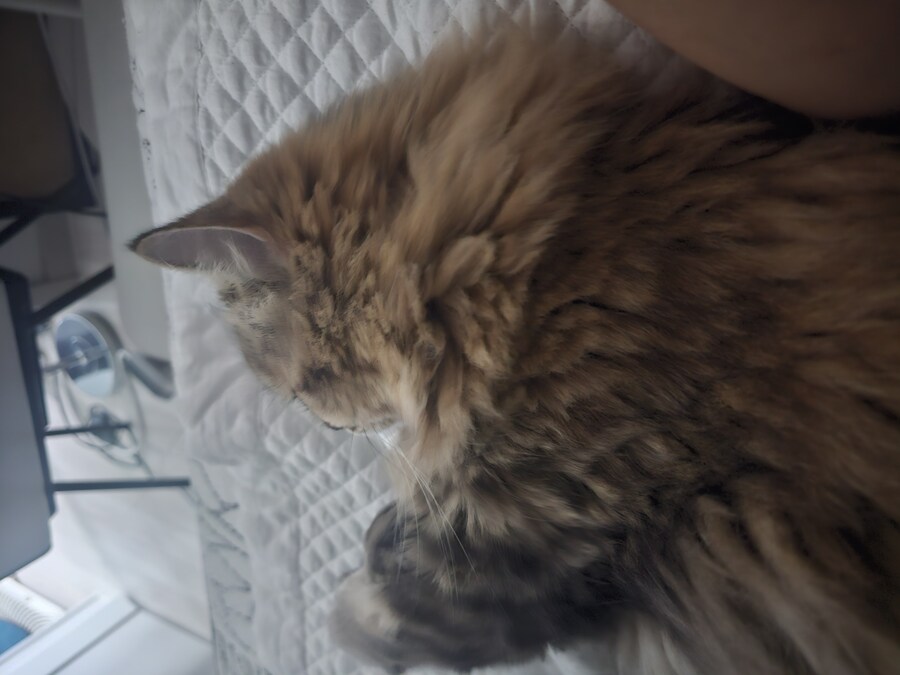 요즘 동거 코고는 소리 때문에 너무 힘들다..(인증)_3.jpg