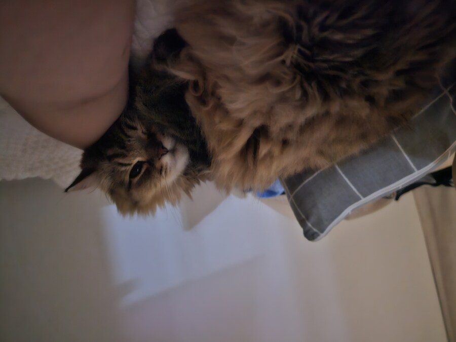 요즘 동거 코고는 소리 때문에 너무 힘들다..(인증)_8.jpg