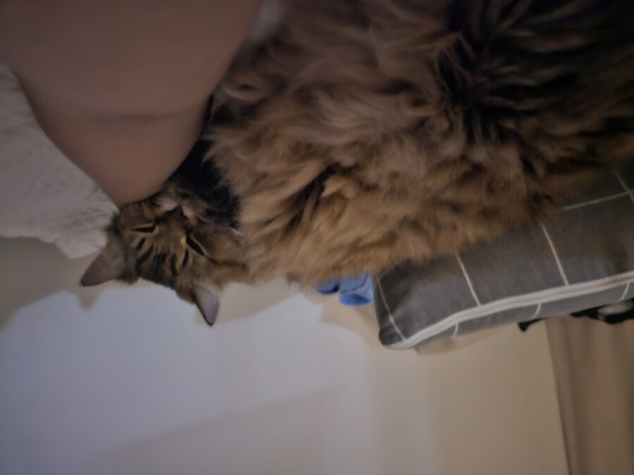 요즘 동거 코고는 소리 때문에 너무 힘들다..(인증)_10.jpg