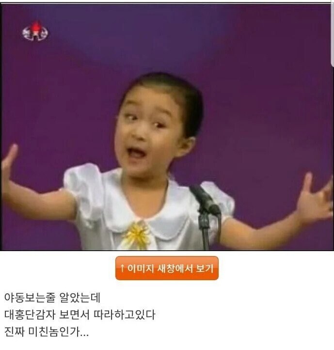 오빠 ㅅㄲ 나 잘때 컴터로 이상한 거 봄_3.jpg