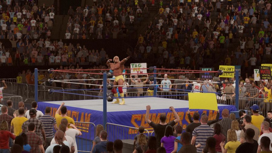 WWE 2K15_25.jpg
