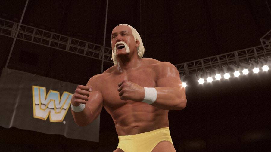 WWE 2K15_27.jpg