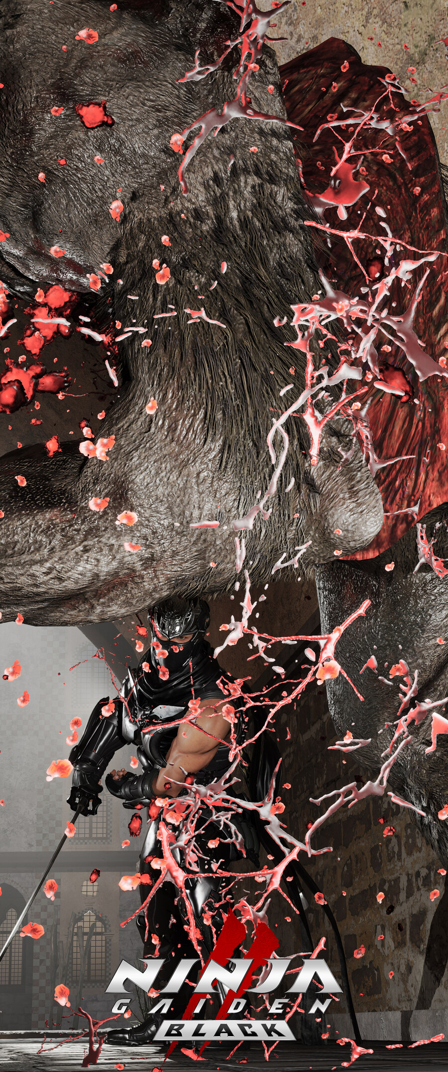 닌자 가이덴2 블랙.jpg_8.jpg