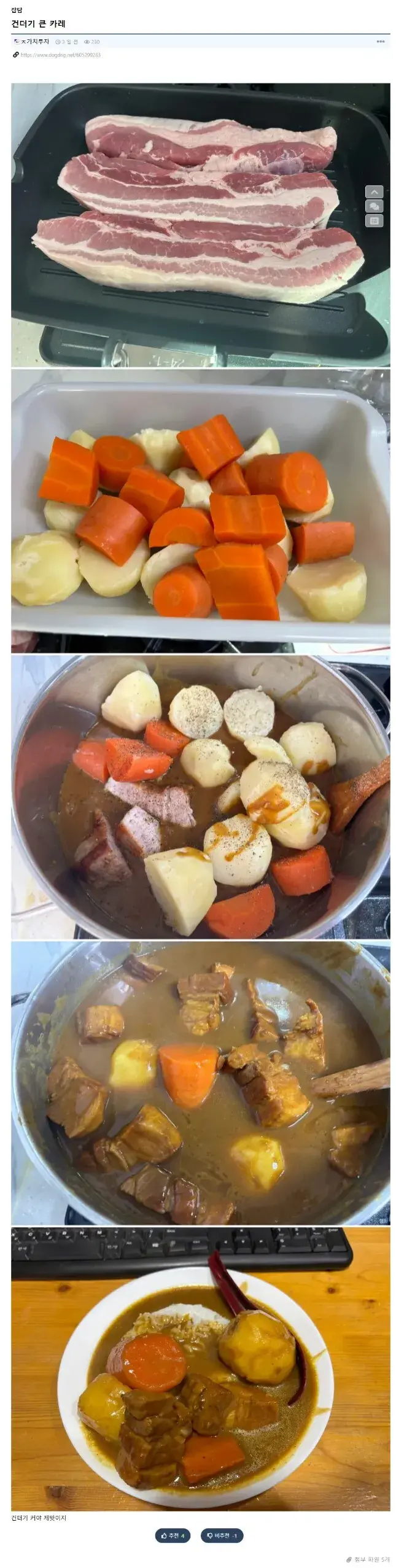 건더기 듬뿍 넣은 카레.jpg_1.webp