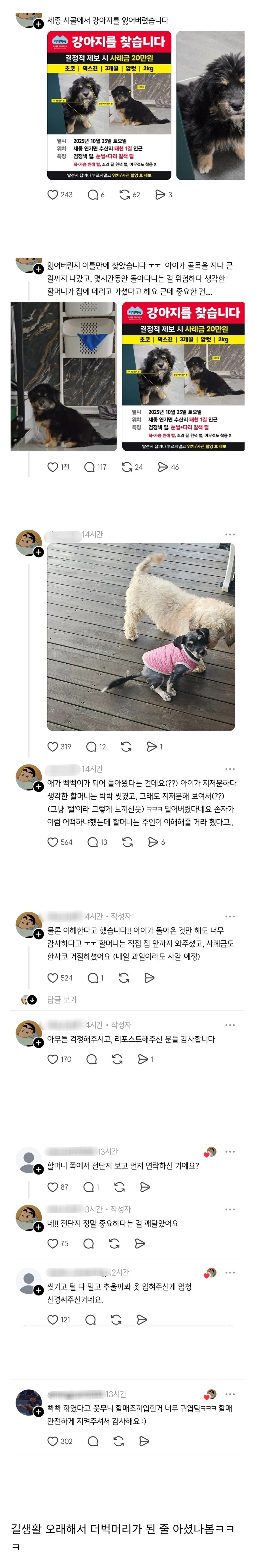 실종됐던 복슬 강아지가 빡빡이가 돼서 돌아옴...._1.jpg