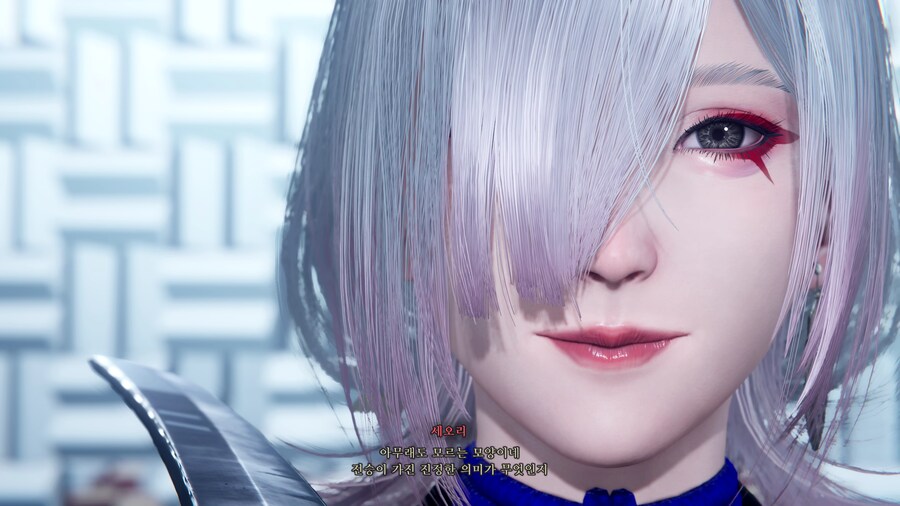 닌자 가이덴 4_15.png