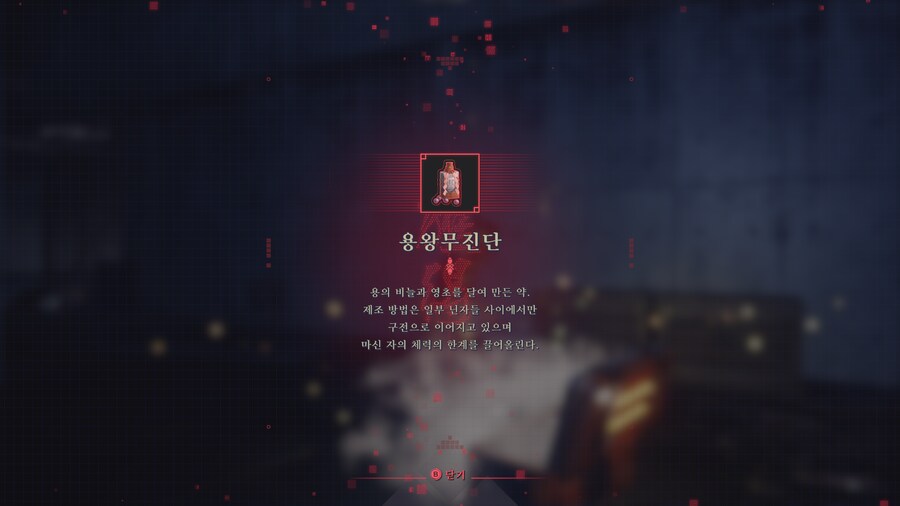 닌자 가이덴 4_23.png