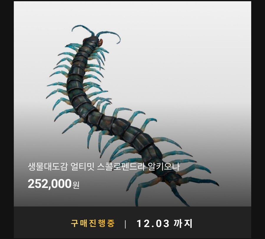 [반남코몰] 생물대도감 스콜로펜드라 알키오나, 쌍살벌_1.jpg