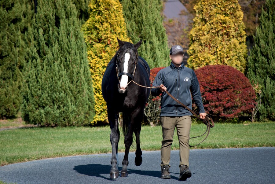 경마) 이퀴녹스 근황_2.png