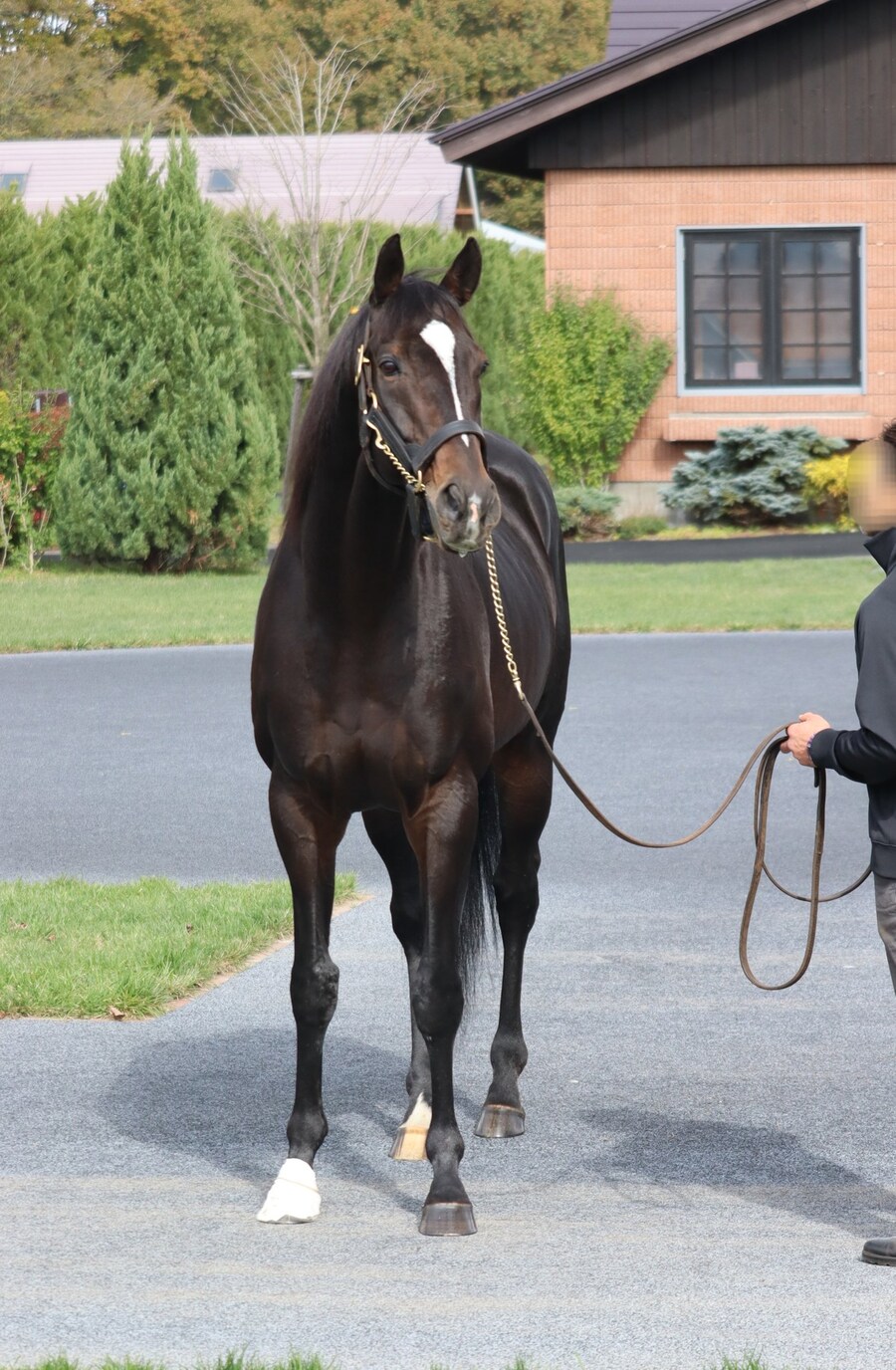 경마) 키타쨩 근황_2.jpg