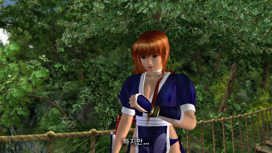 DEAD OR ALIVE 4_5.jpg