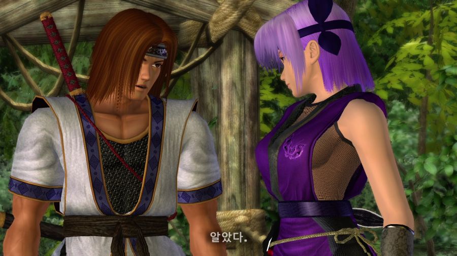 DEAD OR ALIVE 4_13.jpg