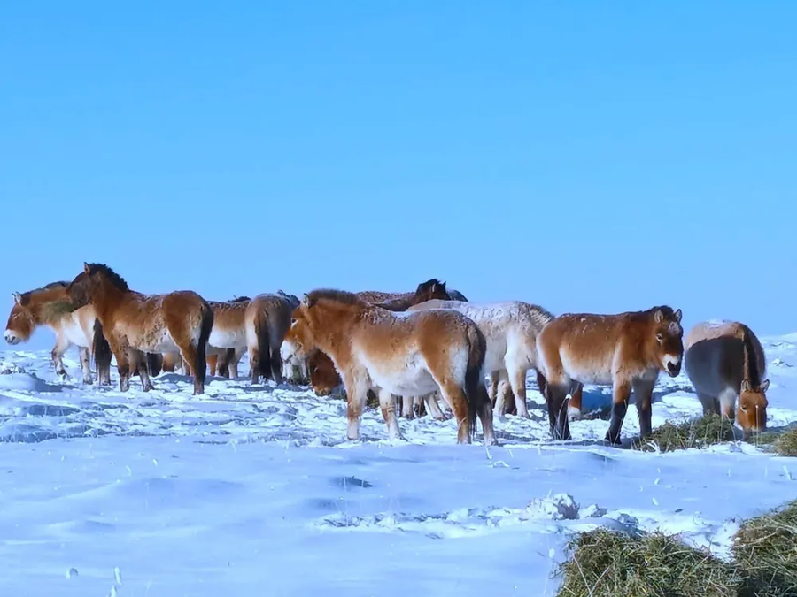 책임 없는 쾌락_1.webp