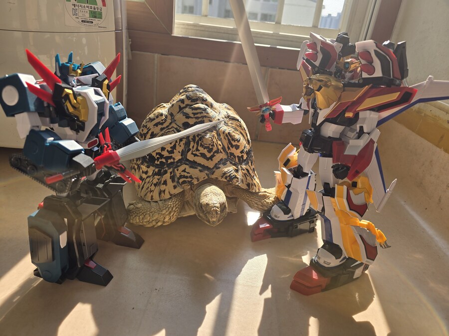 그레이트 다간과 세븐체인져_3.jpg