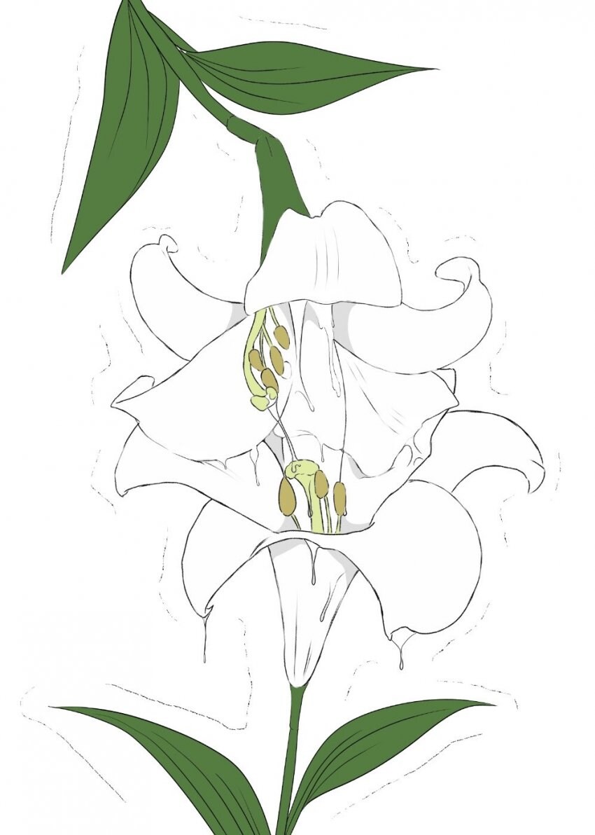 야함주의] 백합 비빔 꿀이 뚝뚝 떨어지네.. 퍄퍄_1.jpg