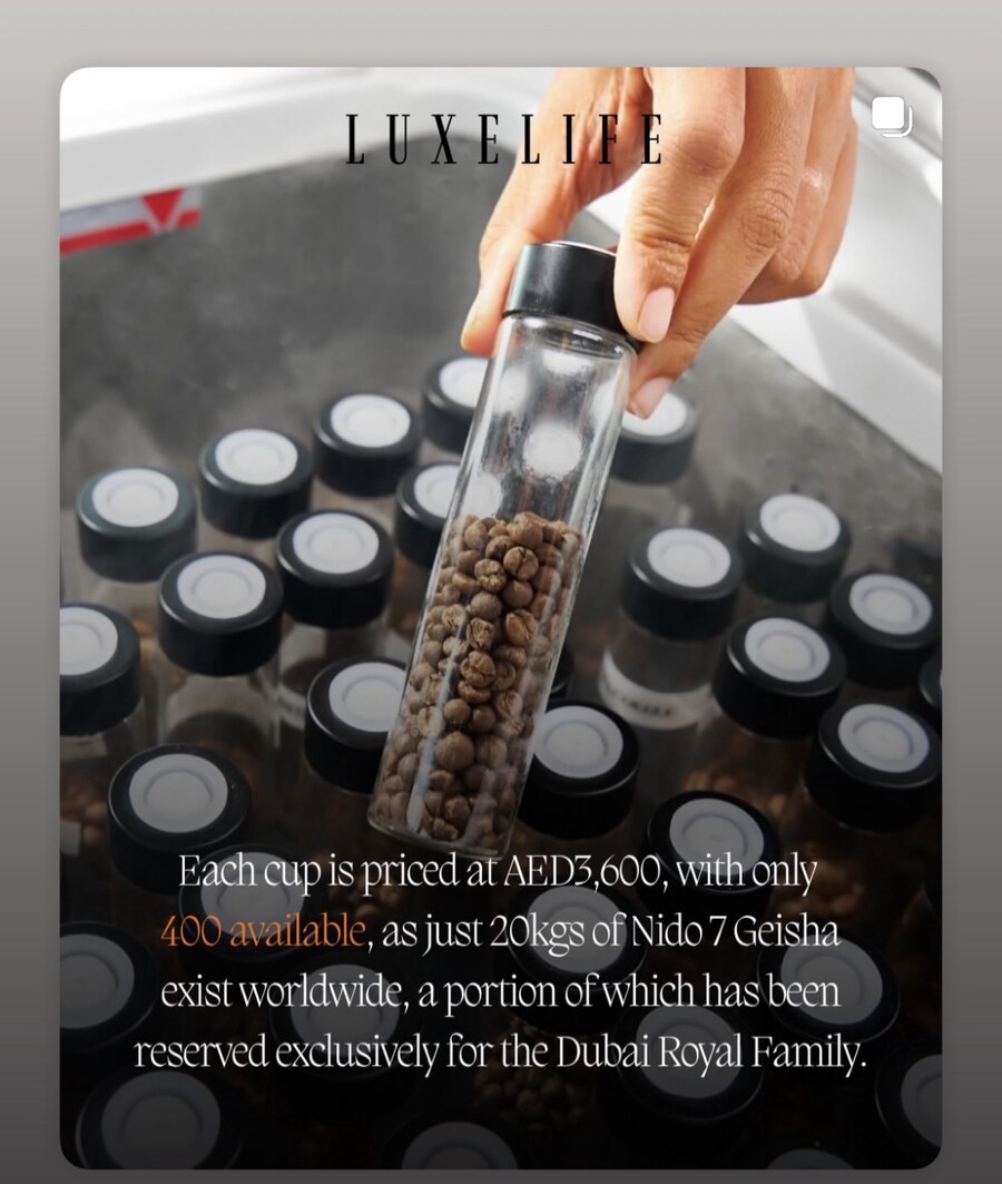 올해 세계에서 제일 비쌌던 커피_1.jpg