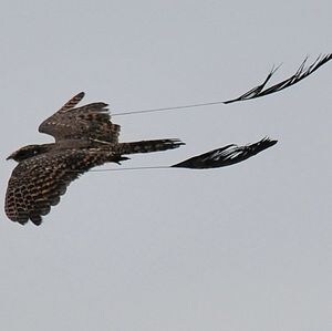 이렇게 생긴 이유_3.jpg