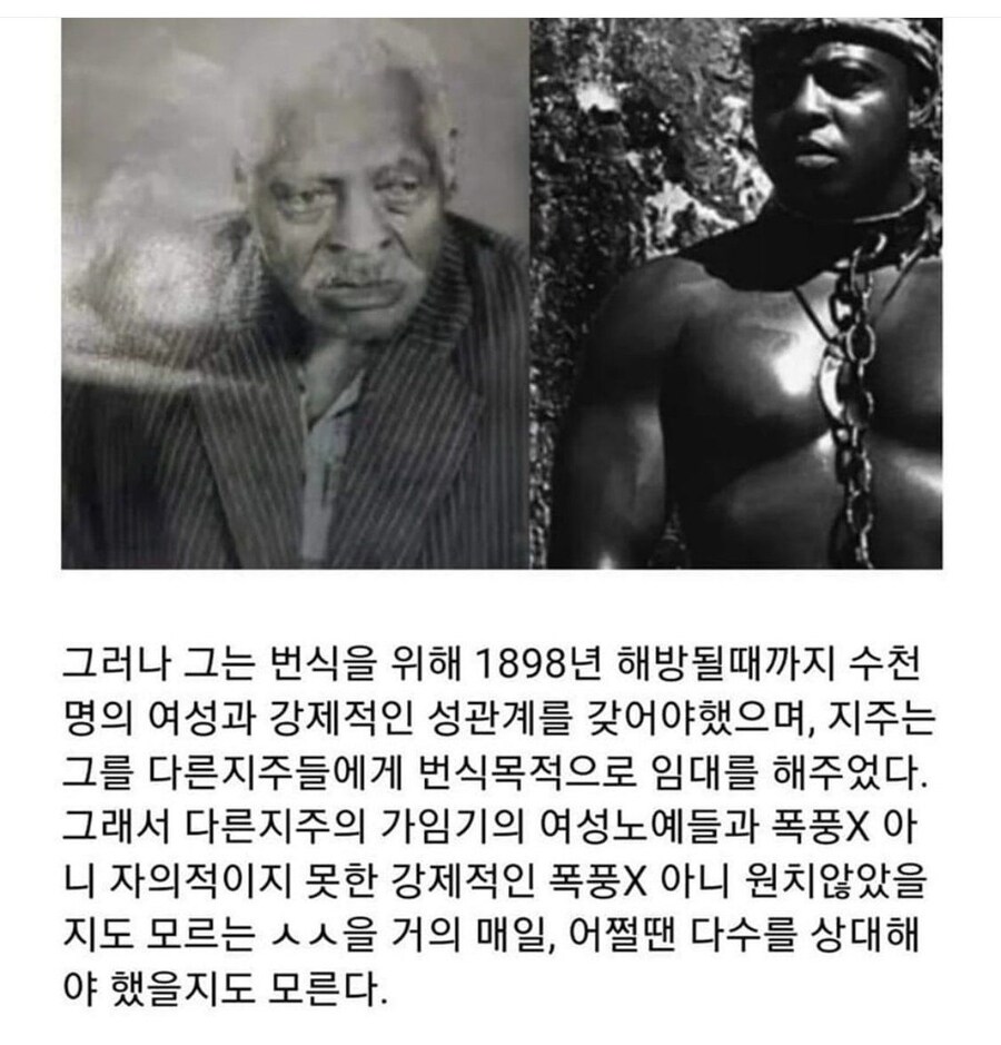 번식 노예 파타세카 이야기_2.jpg