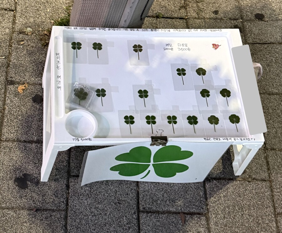 추억의 네잎클로버 매대_1.jpg