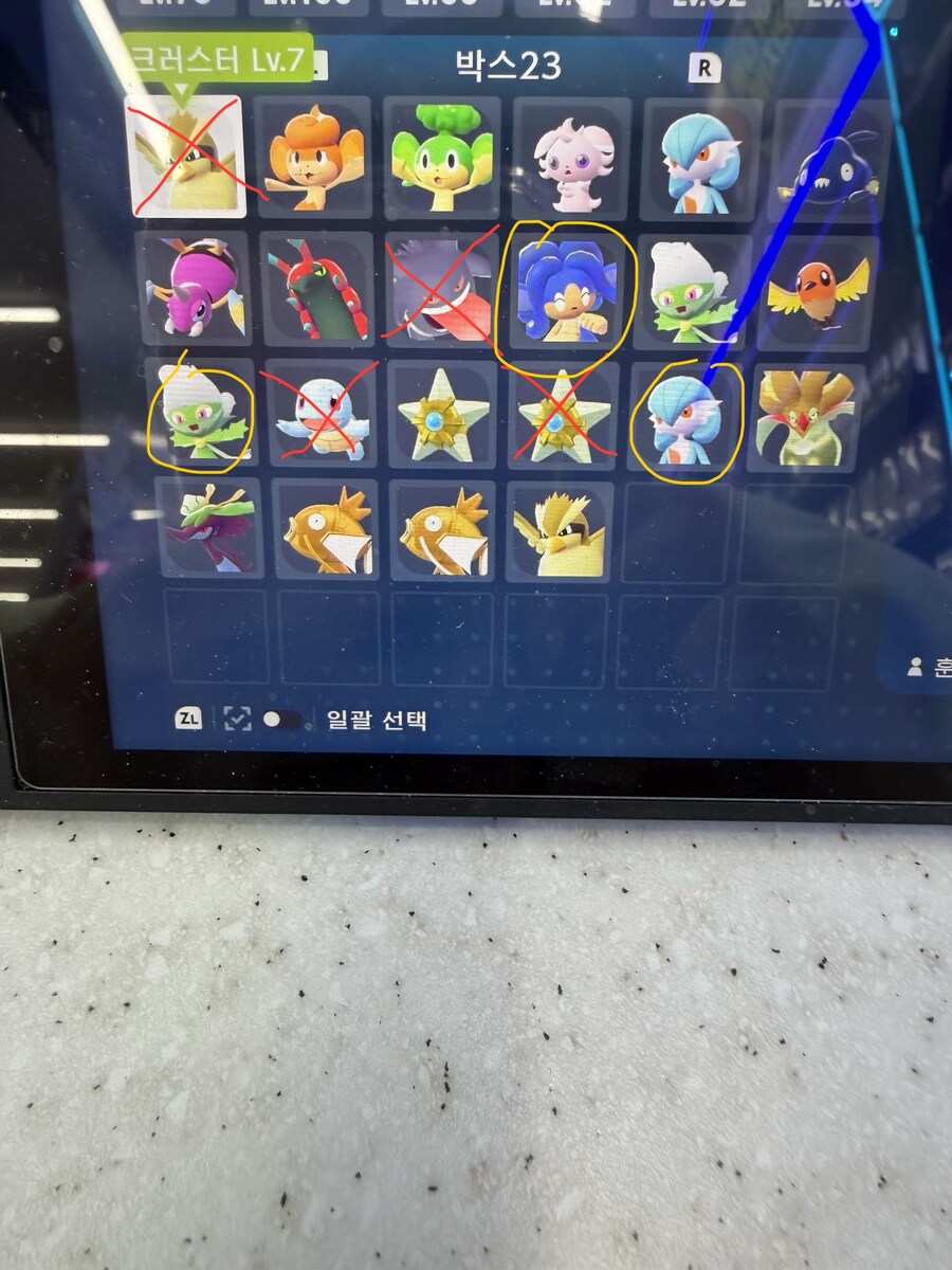 각종이로치와 규볼 금뚜껑3개로 우두로치 메탕계열구해요_4.jpg