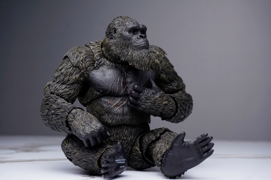 히야토이즈 콩 (고질라X콩)_4.jpg