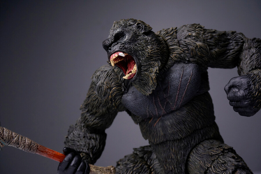 히야토이즈 콩 (고질라X콩)_15.jpg