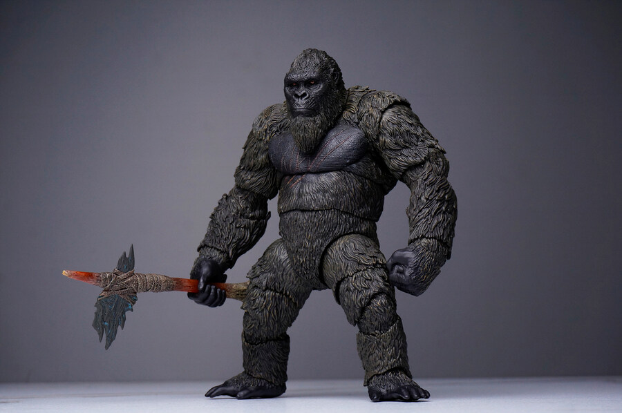 히야토이즈 콩 (고질라X콩)_20.jpg