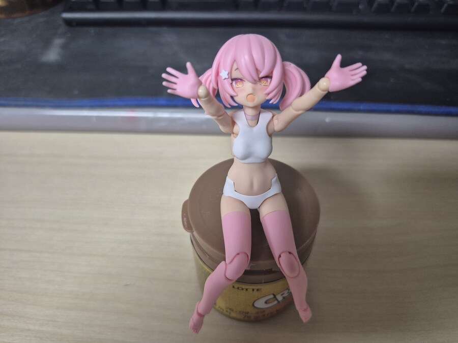 최근 작업중인 걸프라 푸니모후 마오 입니다._2.jpg