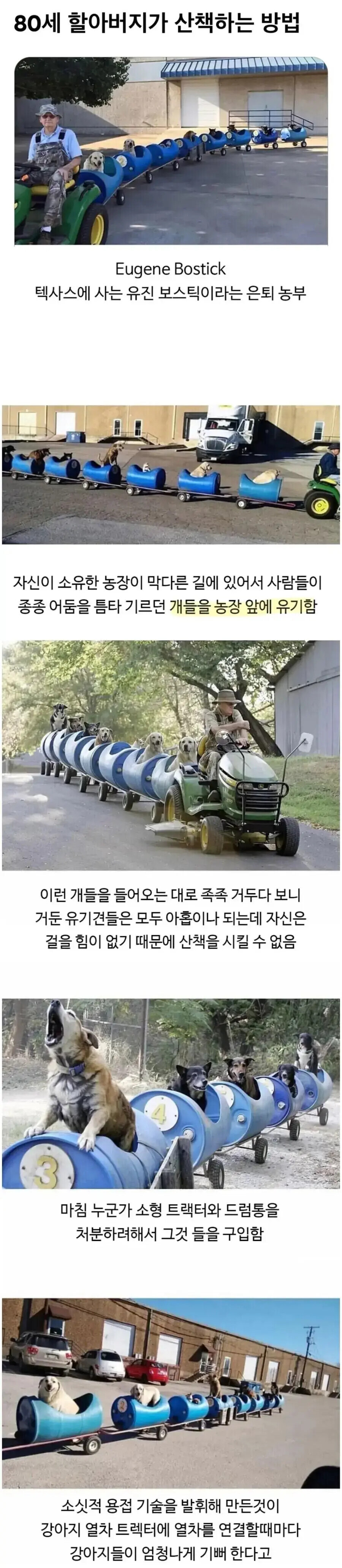 [외국] 80세 어르신이 산책하는 방법_1.jpg