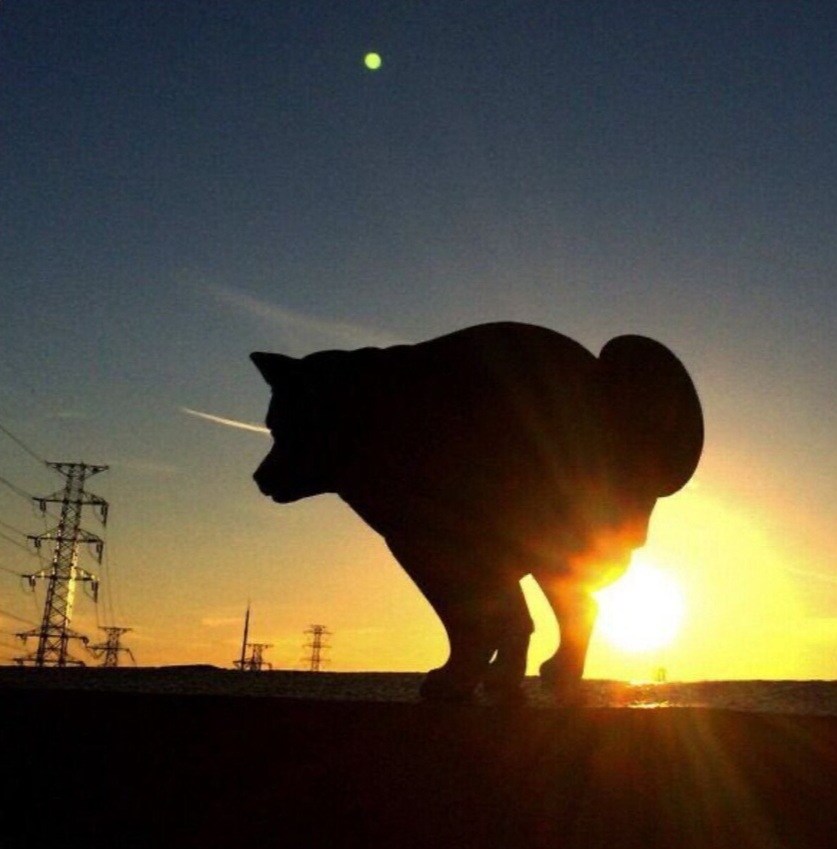 배변보고) 방구미사일 저장고에서 경보가 울렸어요_1.jpg