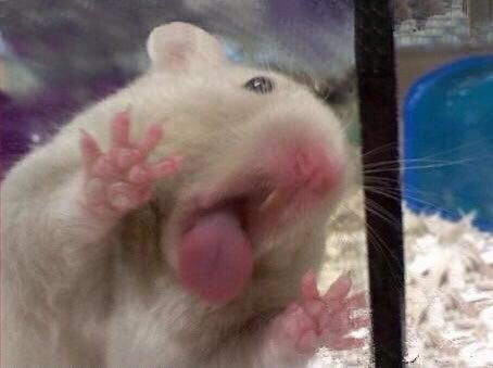 조국 - 누가 진정한 보수인가_2.jpg